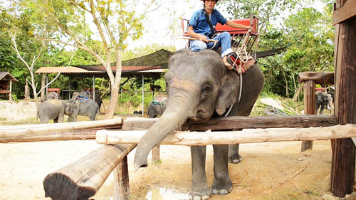 Chang Puak Camp