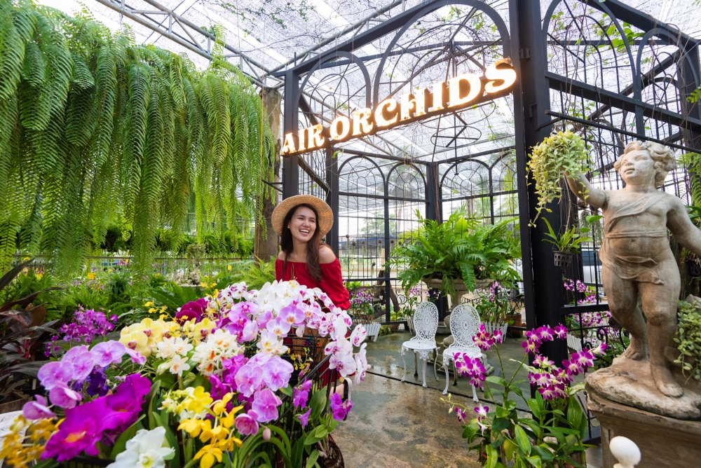 Air Orchids Lab