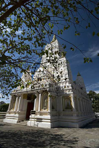 Wat Dham Damrong Dham and Museum of Ajarn Wan Attamo