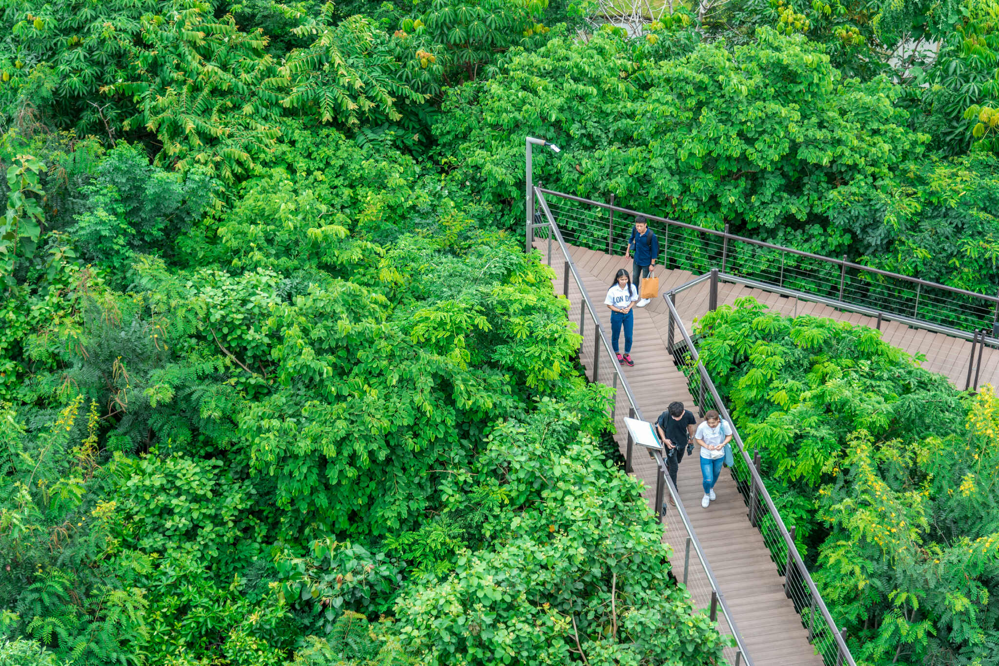3 Eco Tourism 1