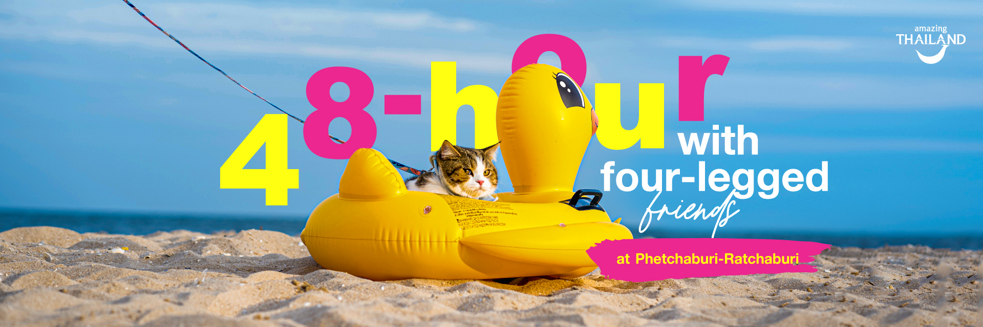 48-hour with four-legged friends at Phetchaburi-Ratchaburi