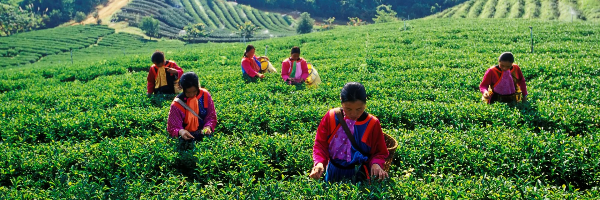 จุดเช็คอินห้ามพลาด...จ.เชียงราย