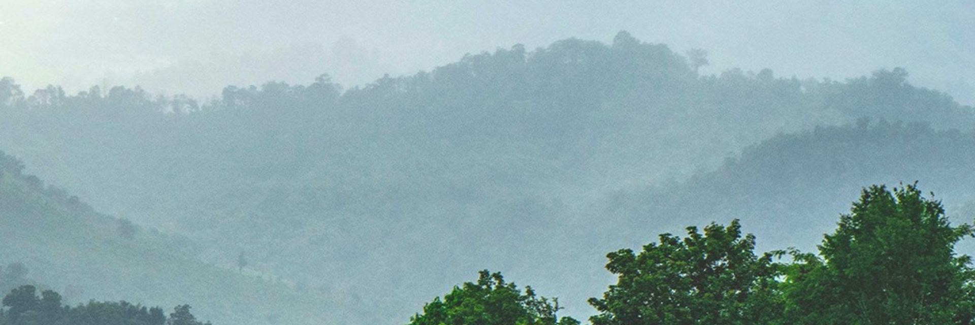 Rain creates mists – thickets of it – especially deep in the mountainous valleys of Tak
