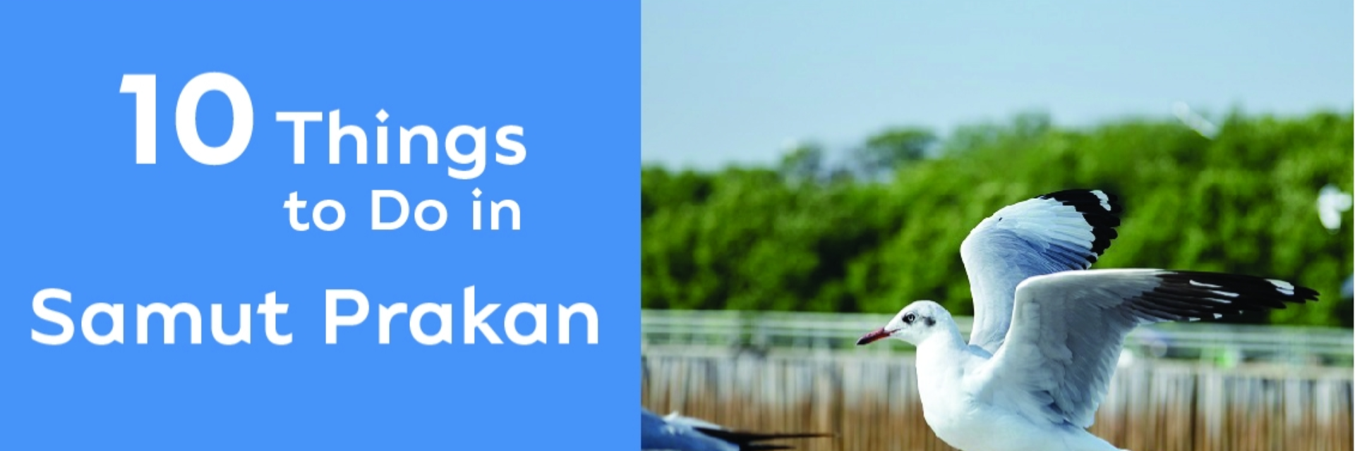 10 THINGS TO DO IN SAMUT PRAKAN
