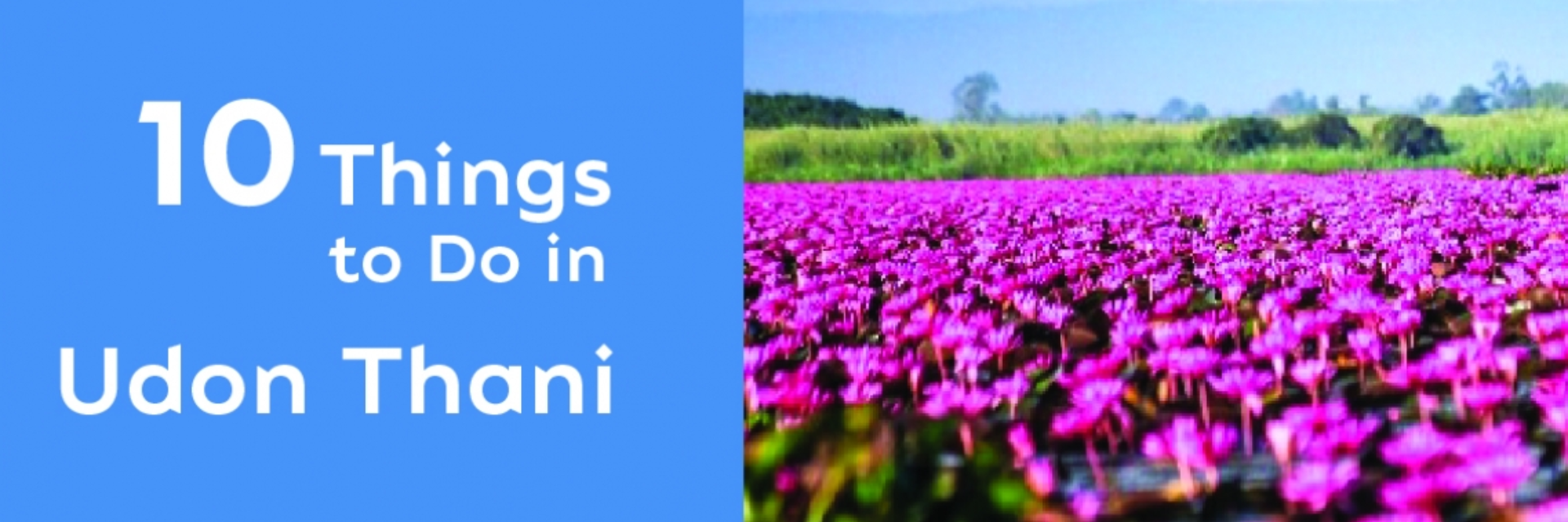 10 THINGS TO DO IN UDON THANI