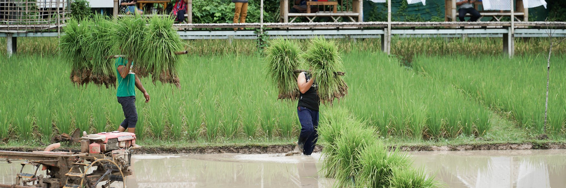 4 Cultural Places You Can’t Miss in Nakhon Si Thammarat