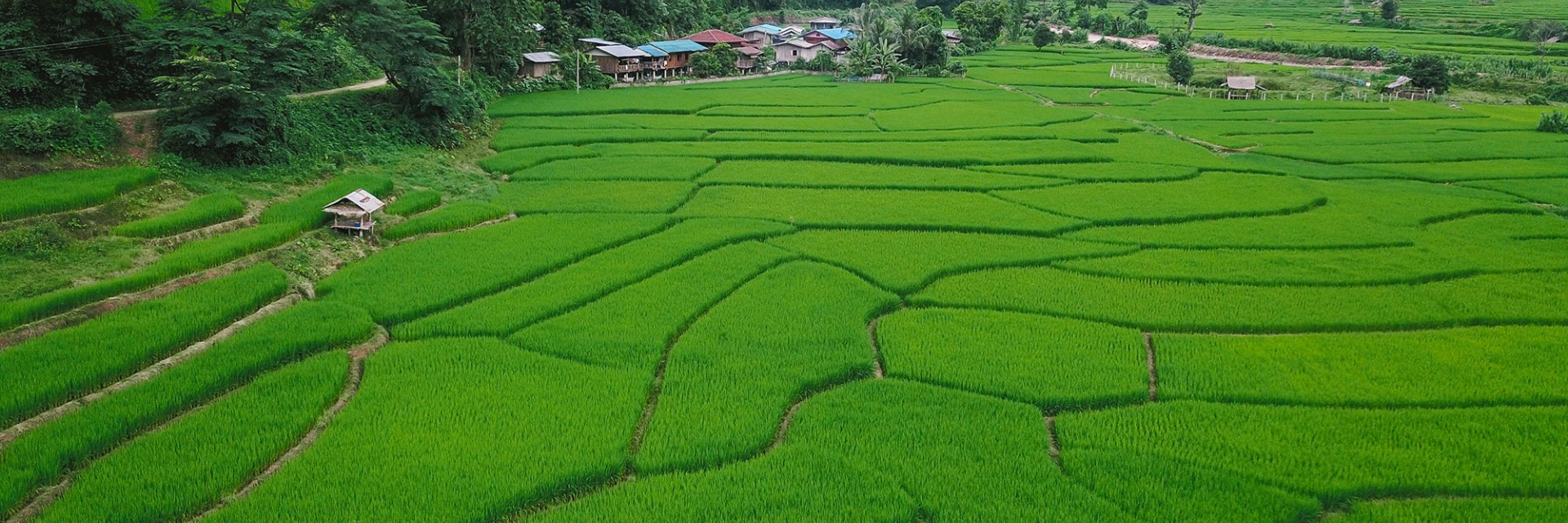 Where to Go in Nan Province on Your Next Holiday