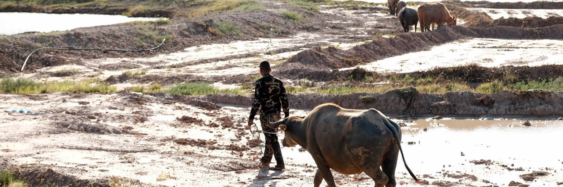 3 attractions in Surin - warm your heart with the story of sufficiency agriculture in Surin