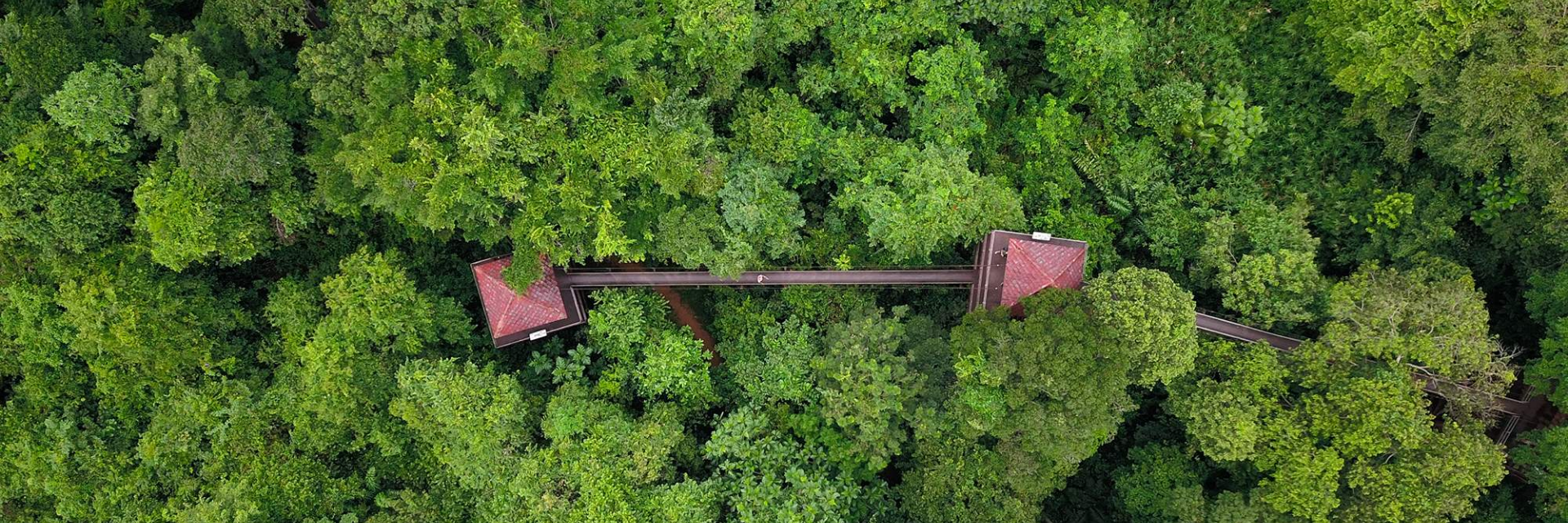 BEYOND THE BEACH : WHERE TO EAT, TRAVEL, AND SHOP AT IN TRANG