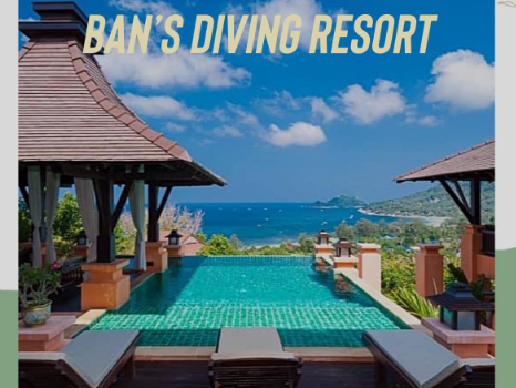 3 Islands Promotion