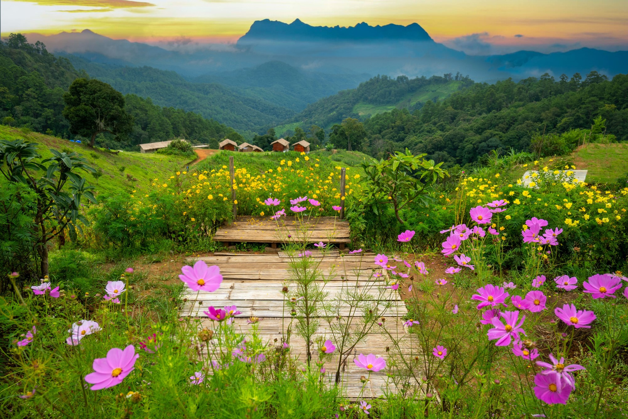 A 3D2N Digital Detox Trip Chiang Mai - Lamphun - Lampang