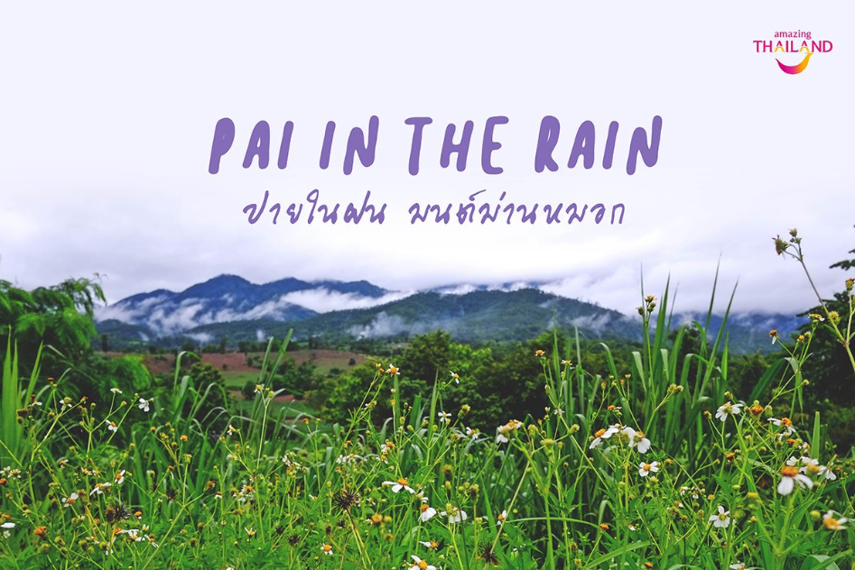 Pai in the Rain
