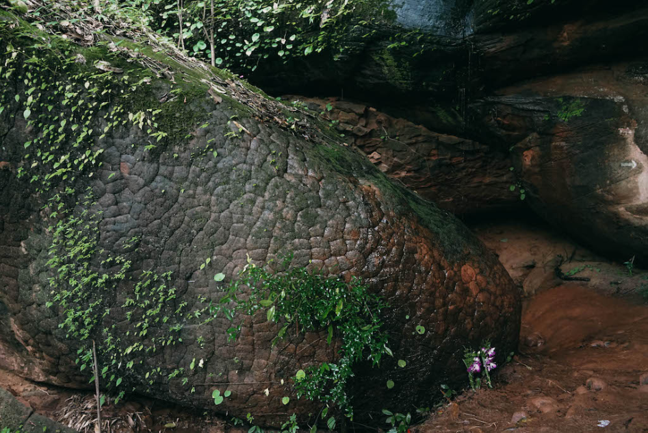 Green Season: Where To Go This Rainy Season or The Next
