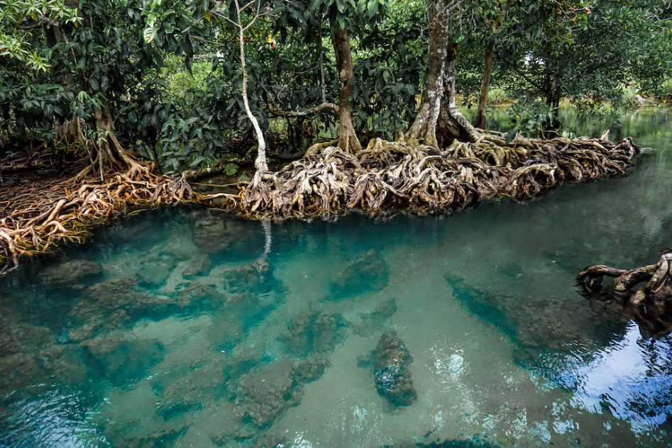 Green Season: Where To Go This Rainy Season or The Next