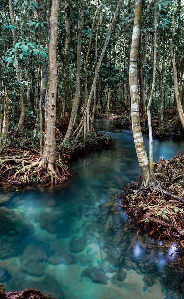 Green Season: Where To Go This Rainy Season or The Next