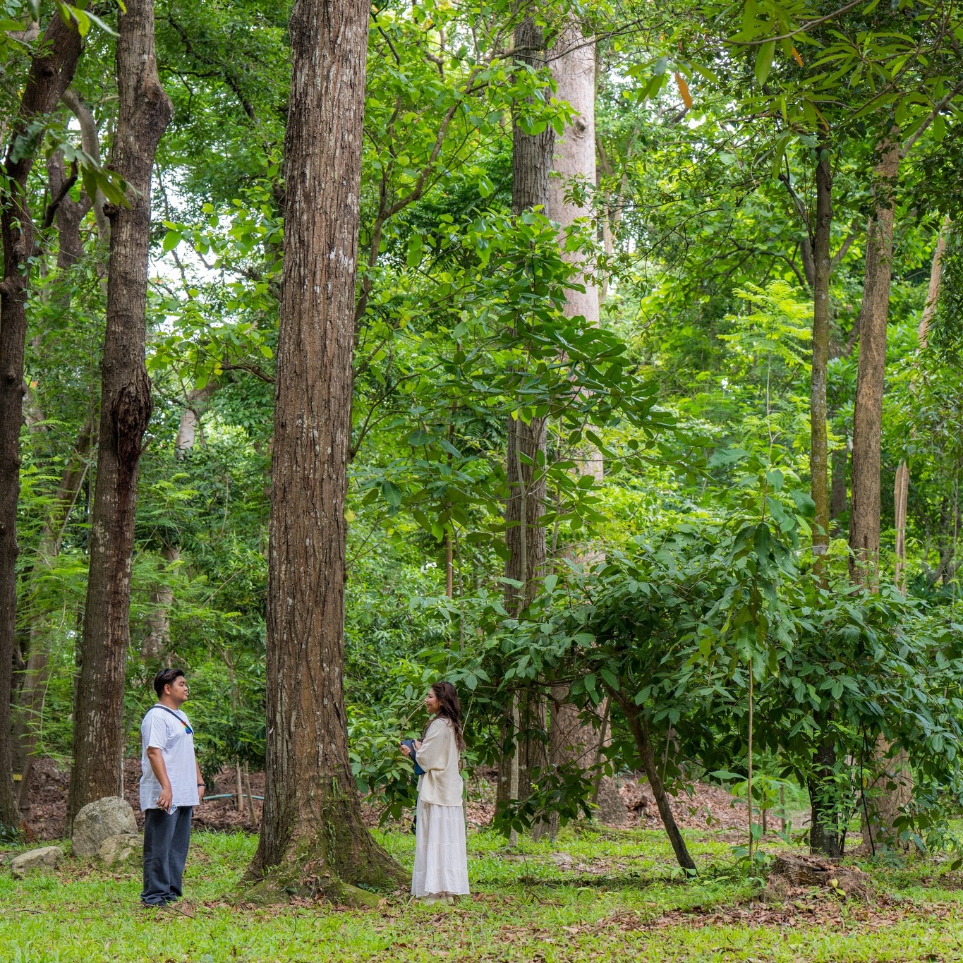 Take back to the old day, Chiang Mai