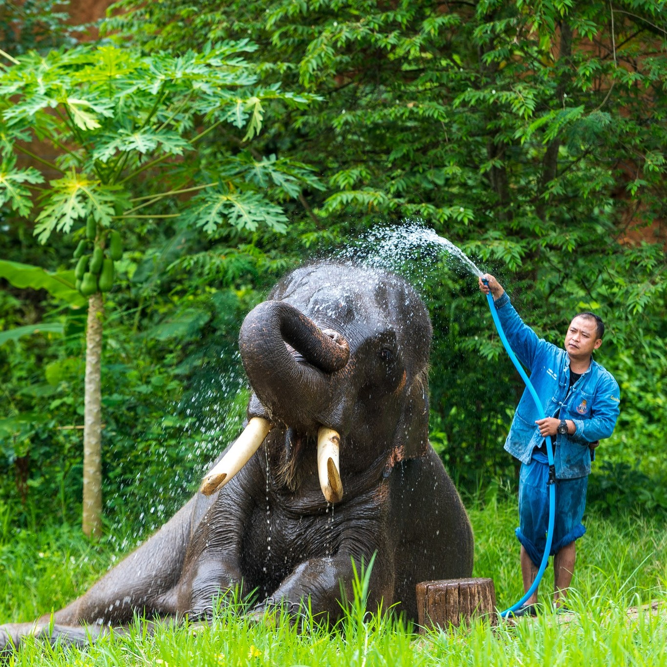 Heal your soul with Eco-conscious wildlife Tourism