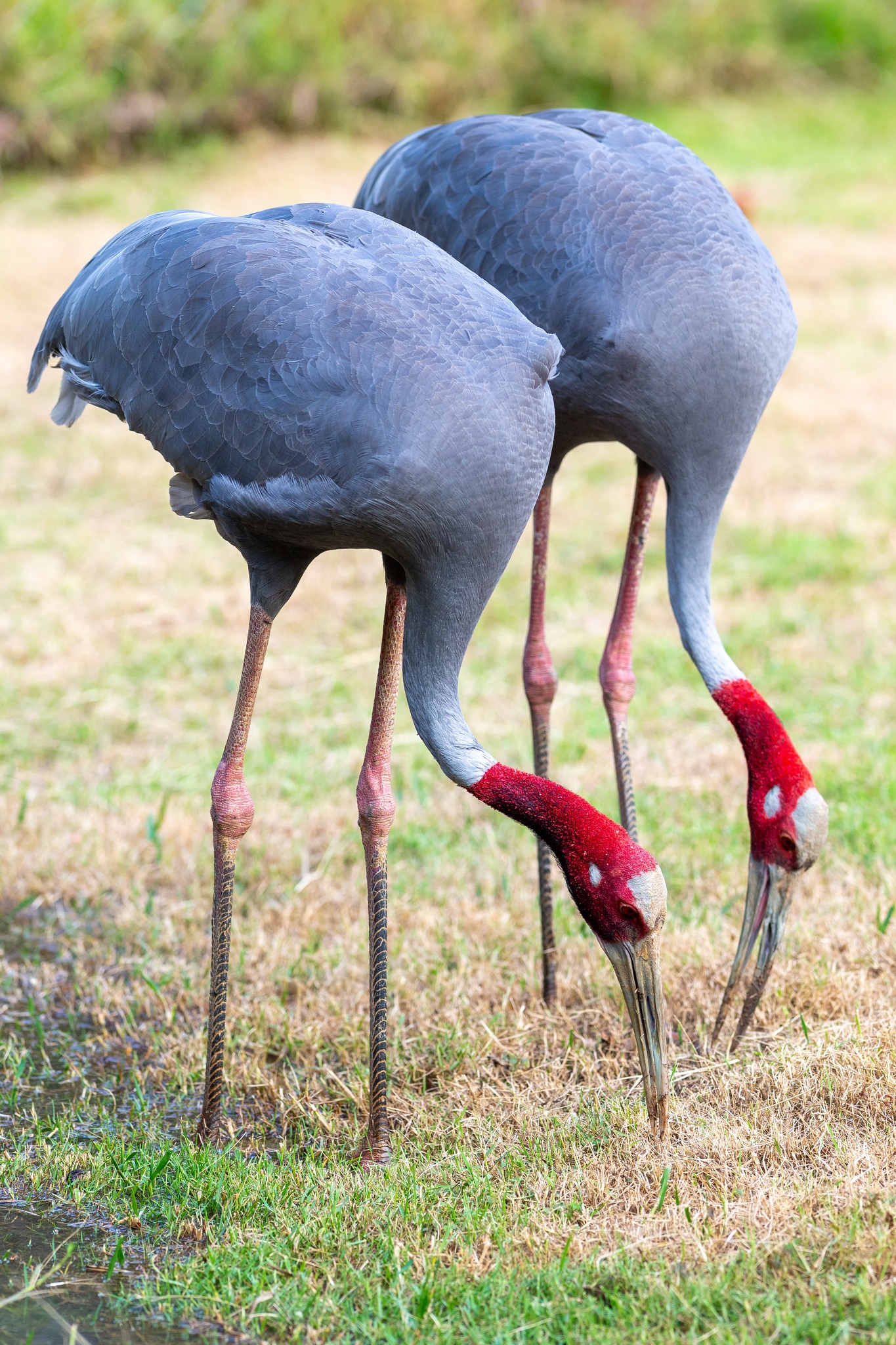 Heal your soul with Eco-conscious wildlife Tourism