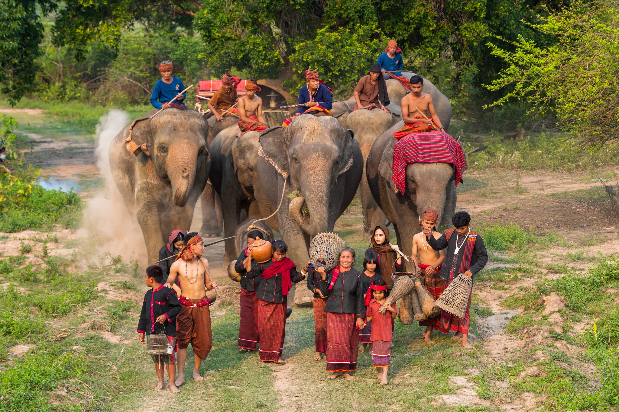 Heal your soul with Eco-conscious wildlife Tourism