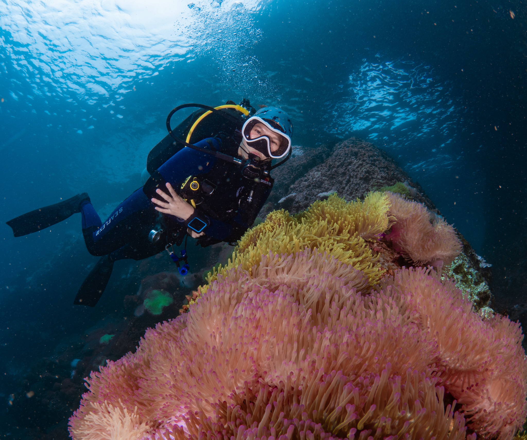 Heal your soul with Eco-conscious wildlife Tourism