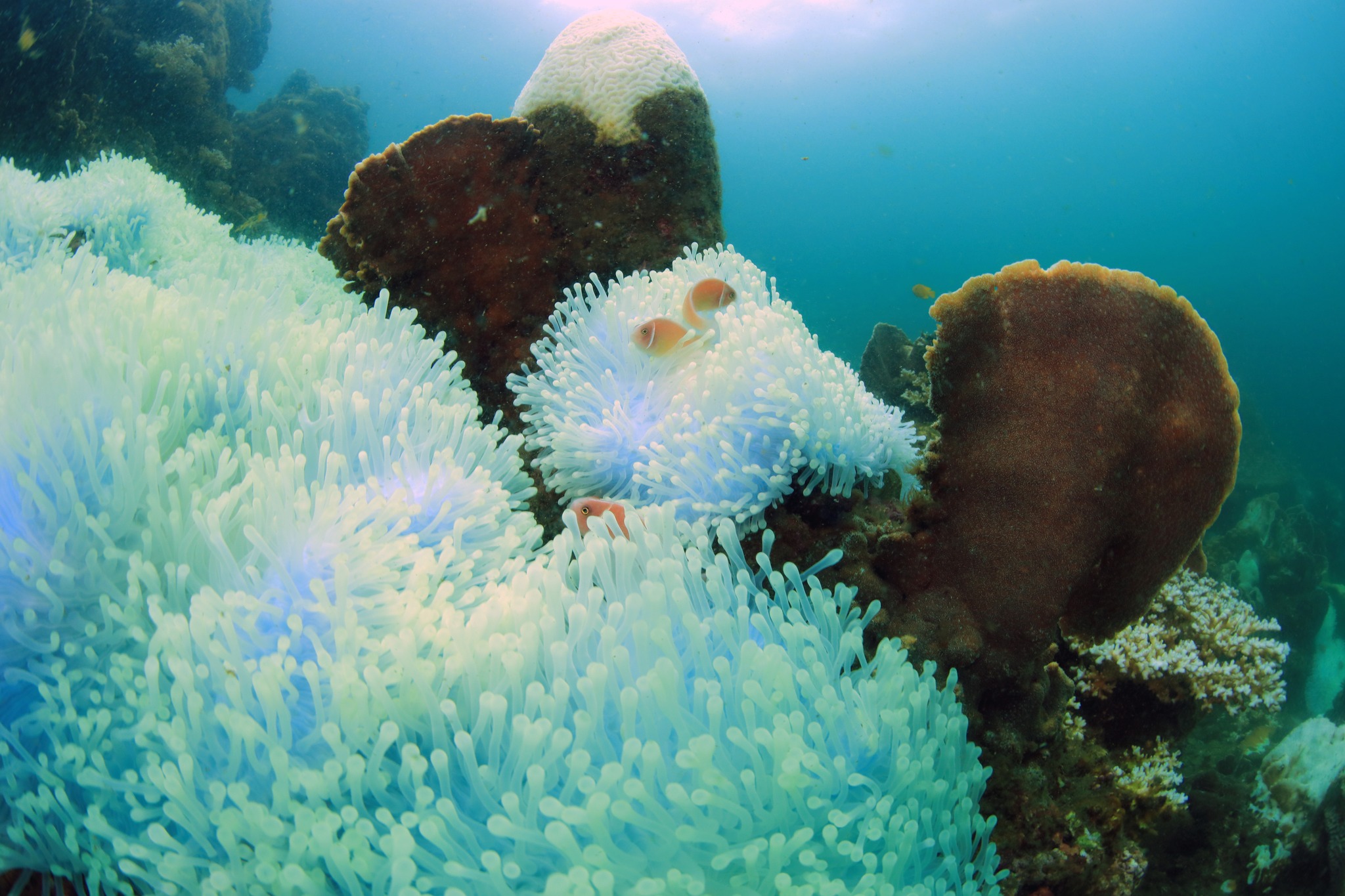 Heal your soul with Eco-conscious wildlife Tourism