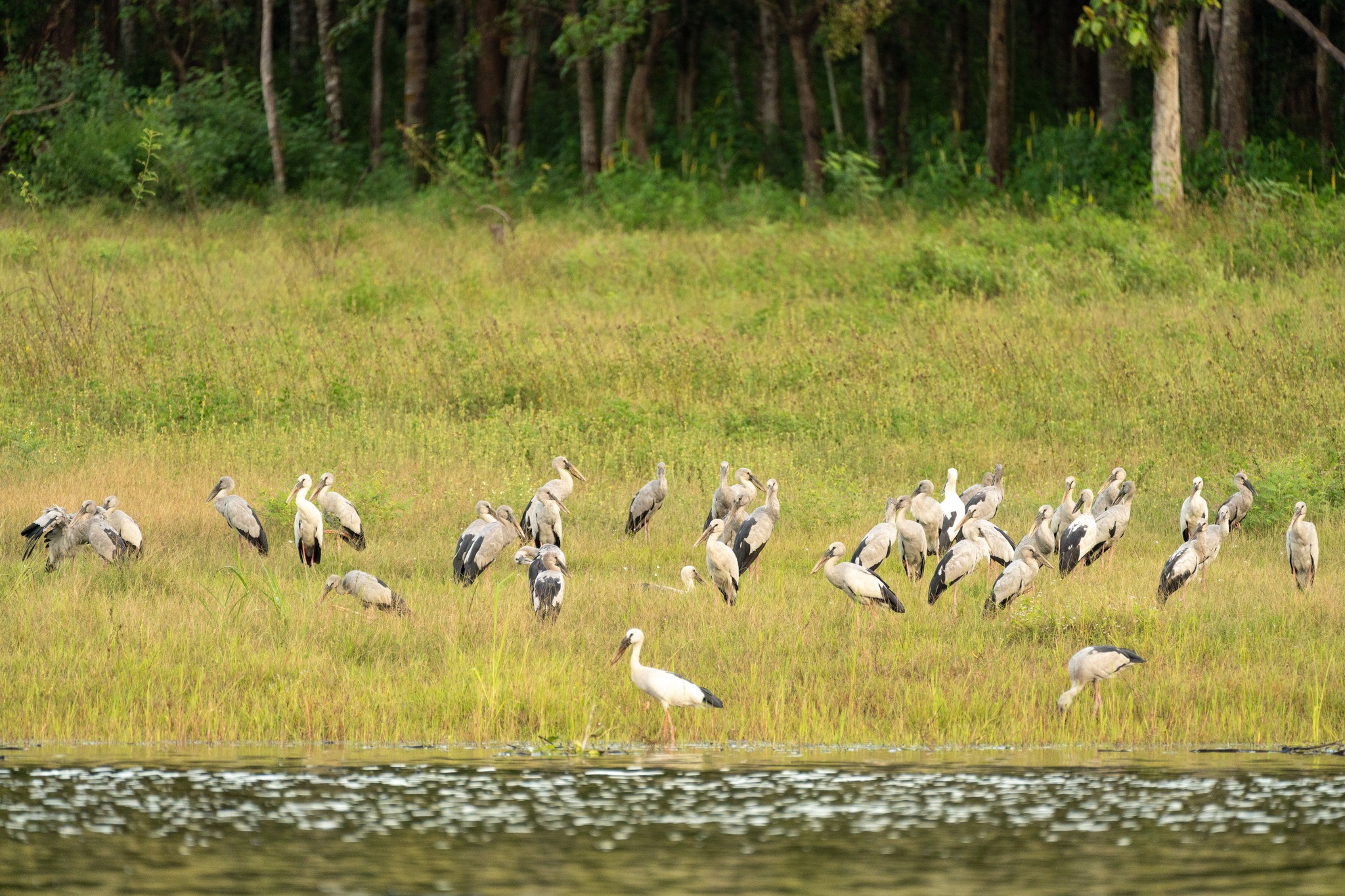 Heal your soul with Eco-conscious wildlife Tourism