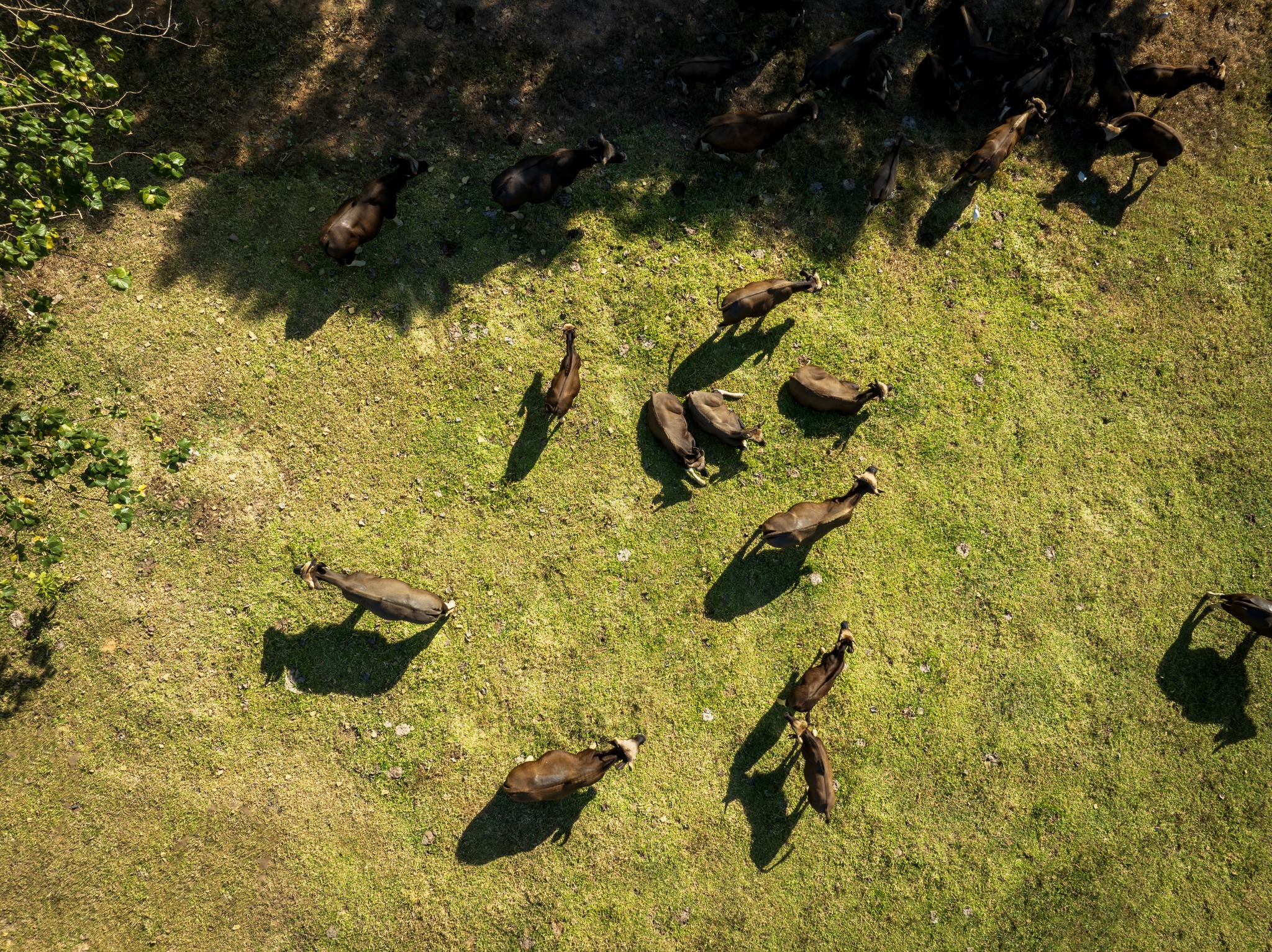 Heal your soul with Eco-conscious wildlife Tourism