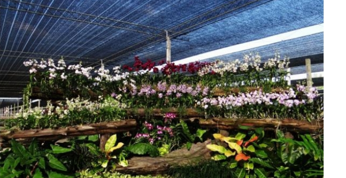 10 THINGS TO DO IN RATCHABURI