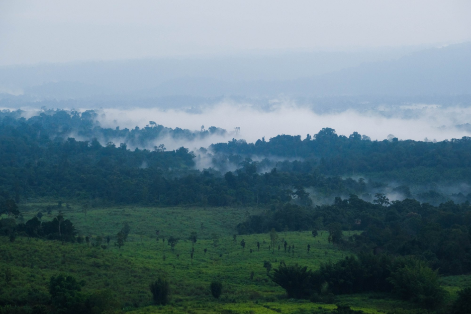 The Best Spot for Admiring the Sea of Mist – Khao Takhian Ngo Phetchabun