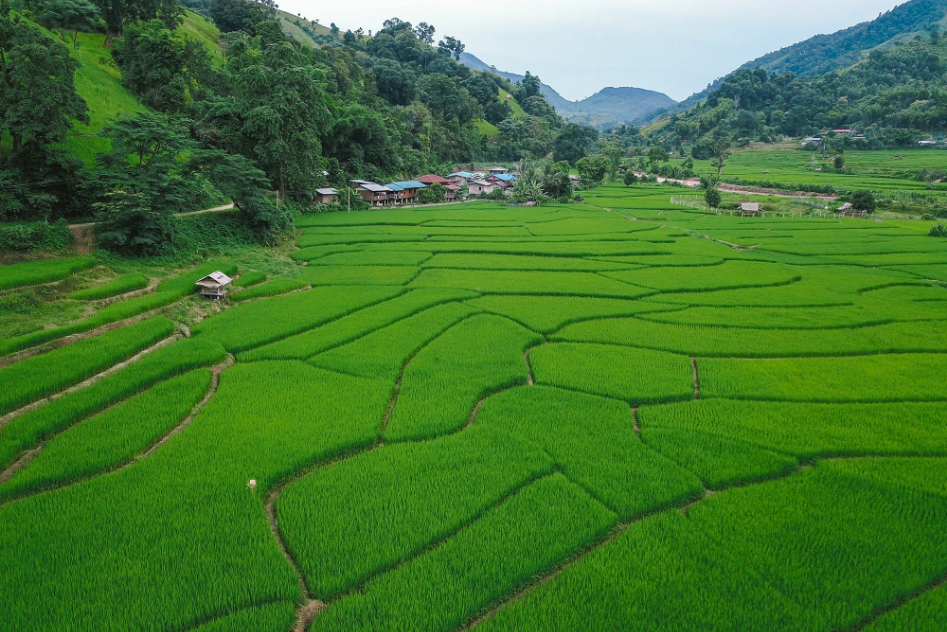 Where to Go in Nan Province on Your Next Holiday