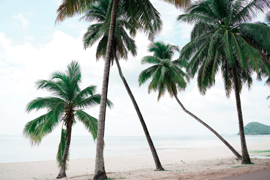 Escape the Capital...to the South. Experience the Beauty of an Emerging Destination at Chumphon for 4 Days and 3 Nights