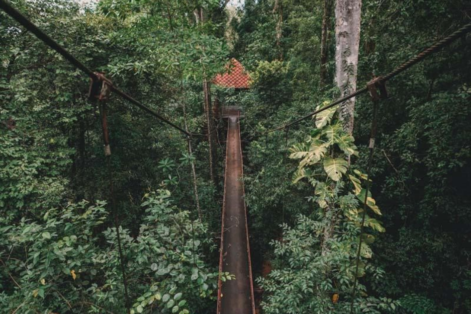BEYOND THE BEACH : WHERE TO EAT, TRAVEL, AND SHOP AT IN TRANG